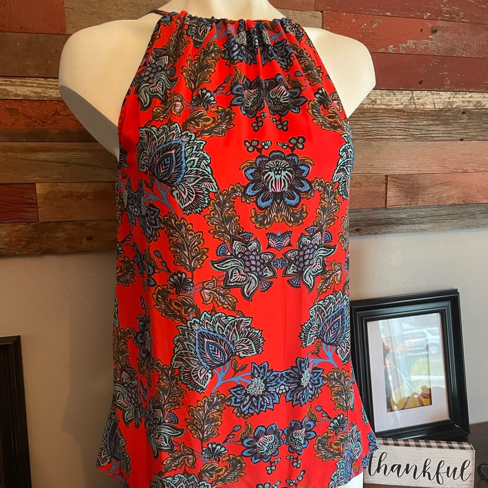 Collective concepts silky top